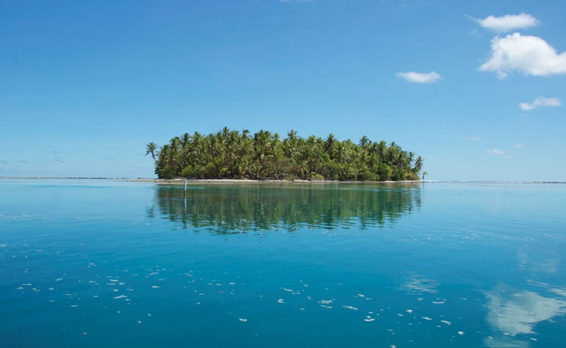 Insel Tokelau mit Palmen