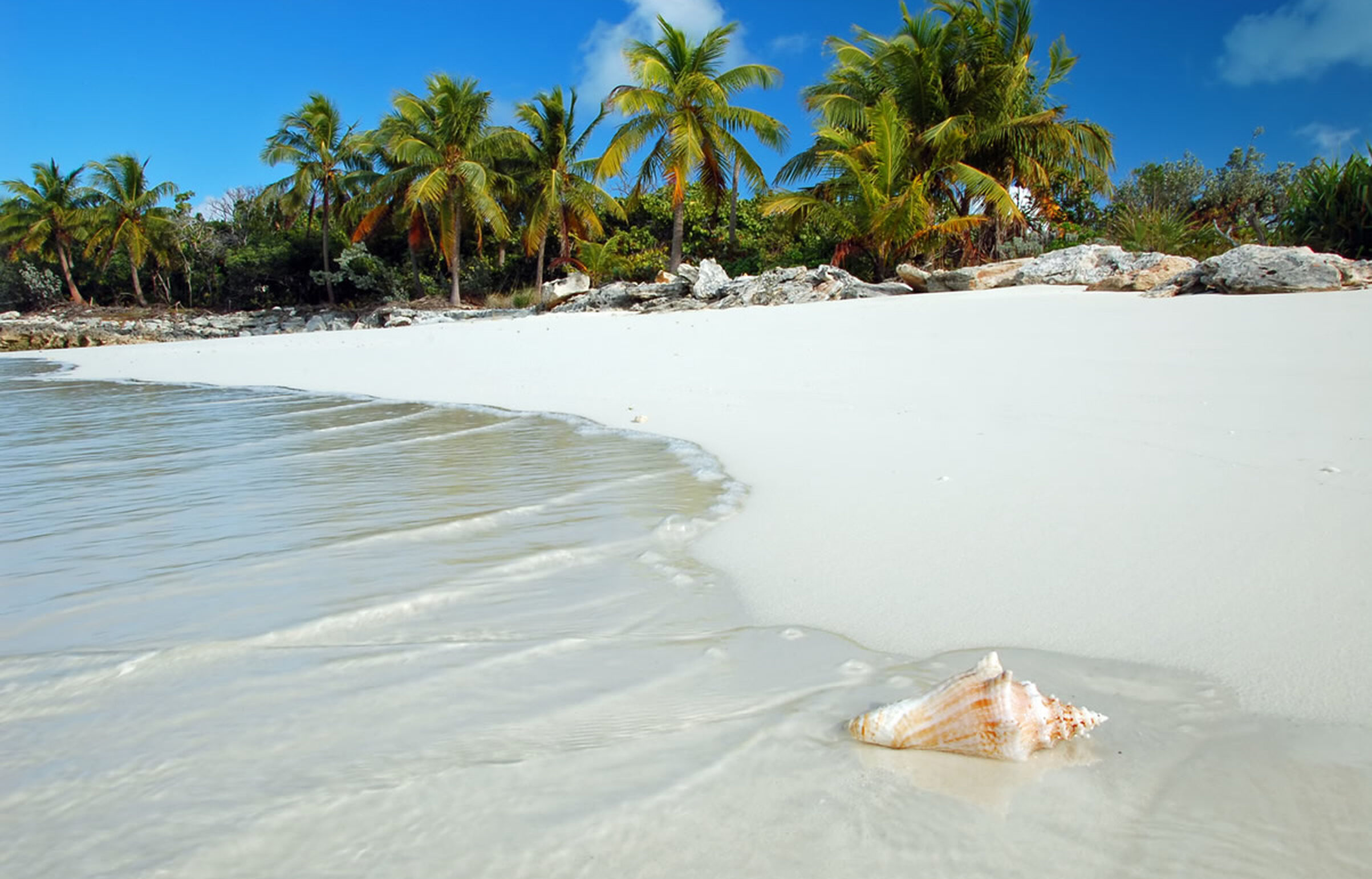 Paradiesischer Strand mit Palmen und azurblauem Wasser