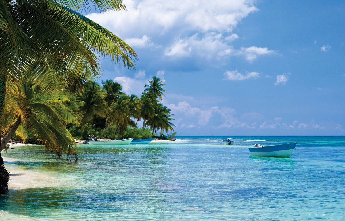 Palmen am Strand in Haiti