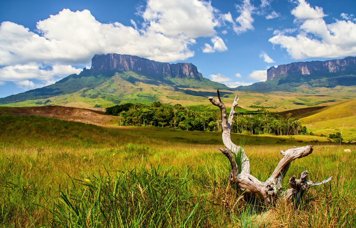 Weite Steppe in Tafelberg in Venezuela