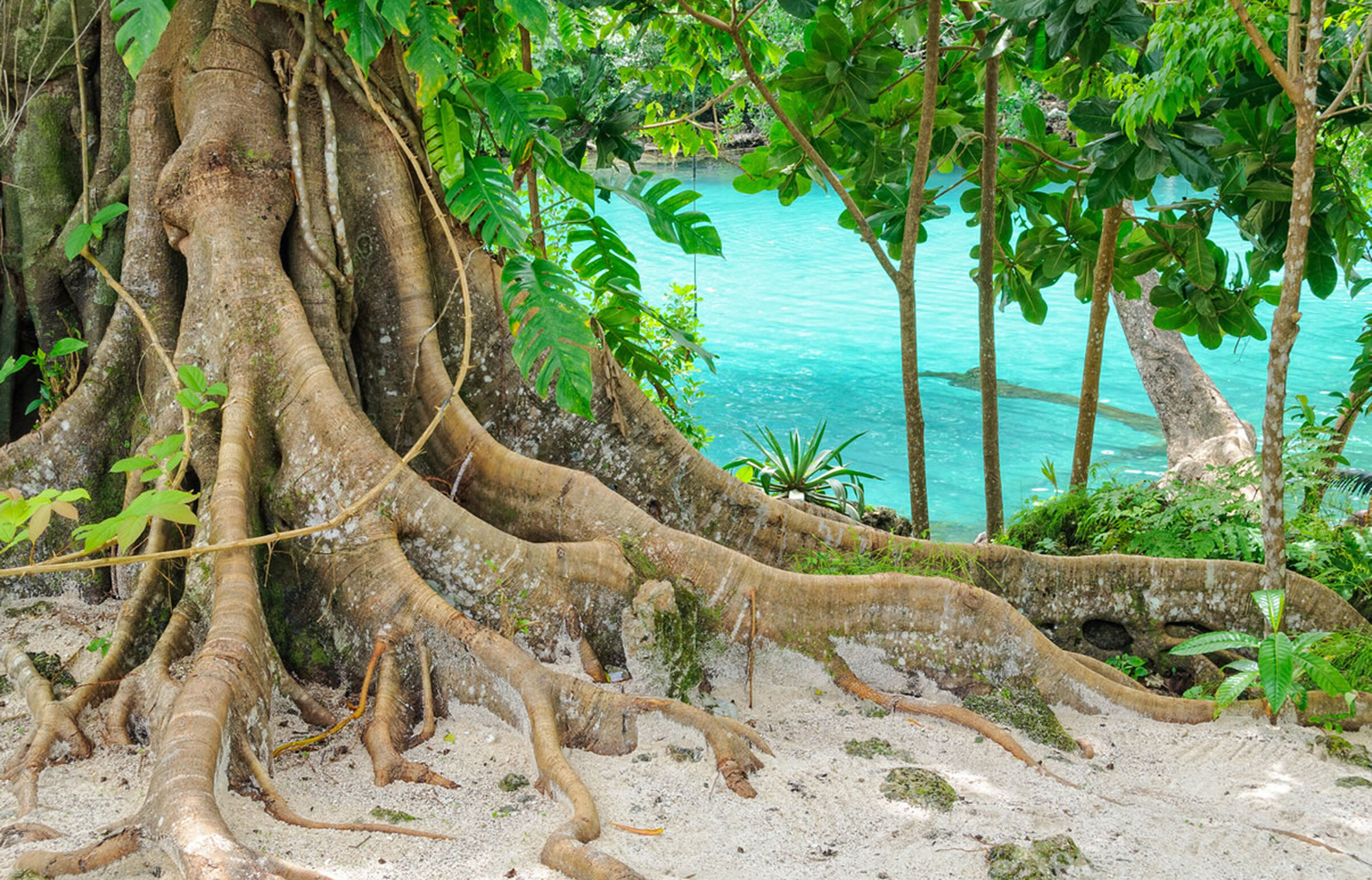 Blaue Lagune auf der Insel Efate in Vanuatu
