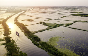 Luftbild mit Boot in einem Kanal nahe Dhaka in Bangladesch
