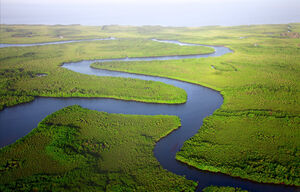 Fluss in Gambia