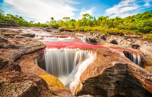 Caño Cristales in Kolumbien