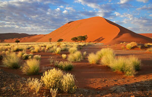 Landschaft bei Sossusvlei in Namibia