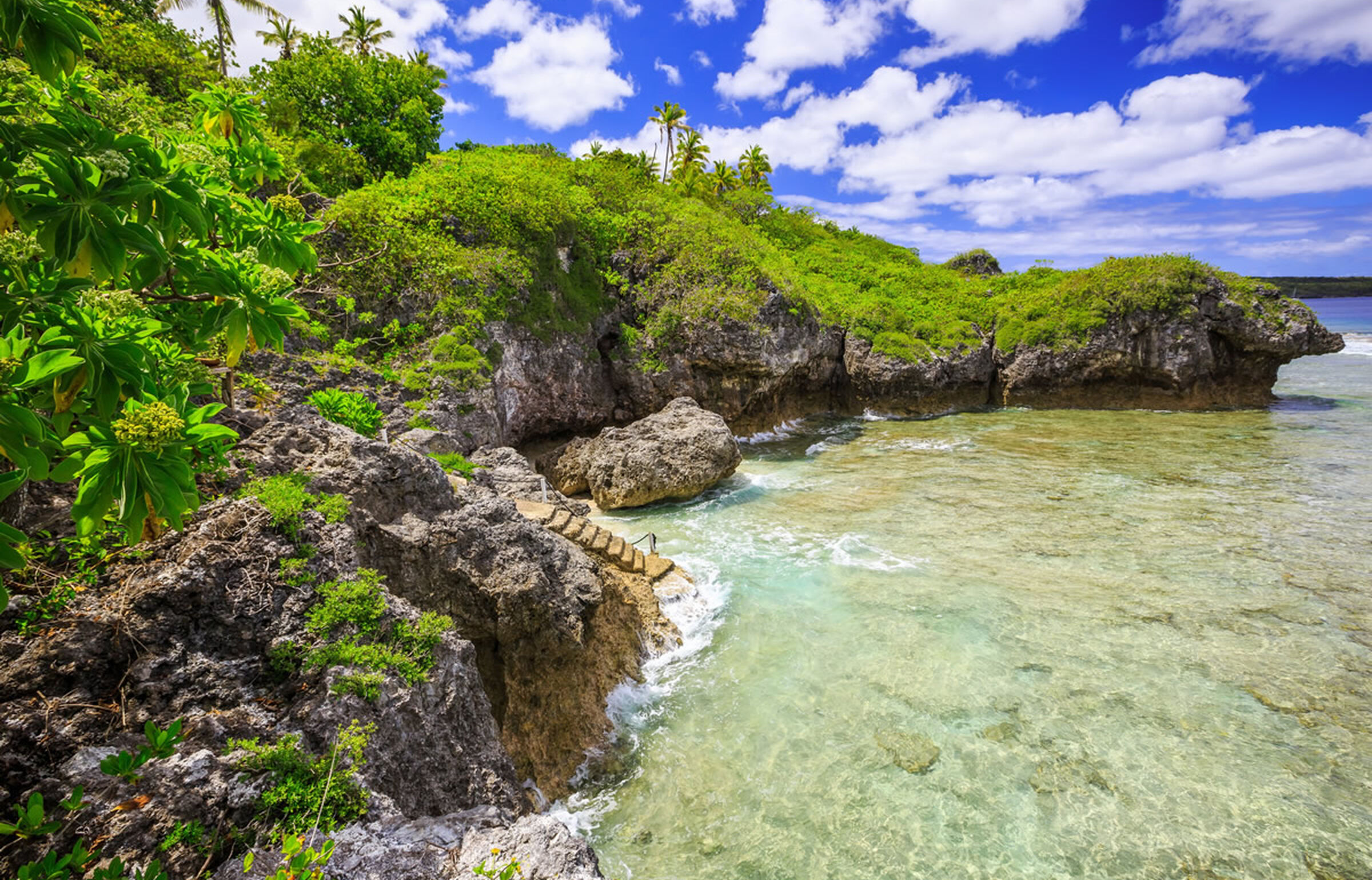 Meer und prächtig grüner Fauna am Strand von Niue