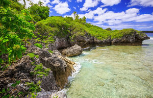 Meer und prächtig grüner Fauna am Strand von Niue