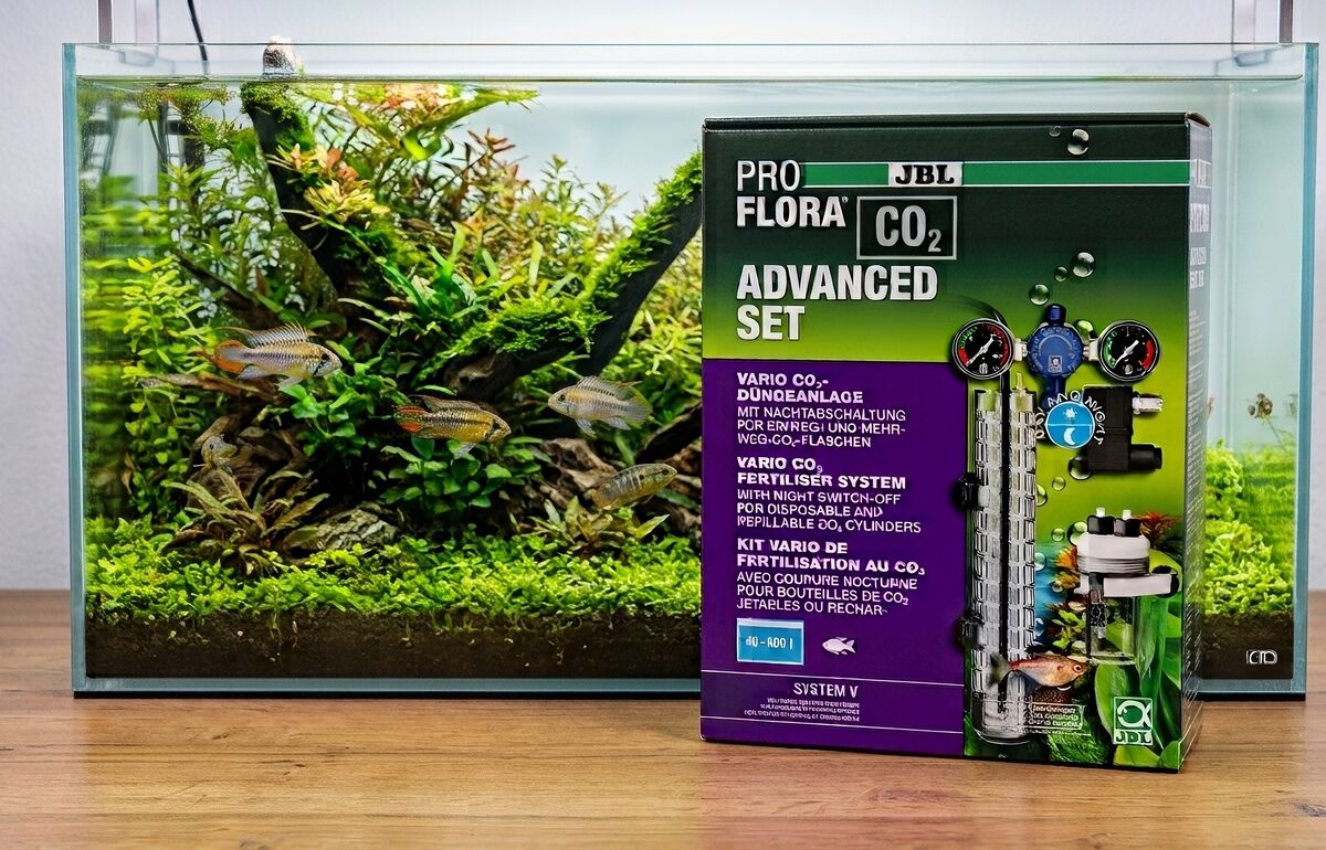 JBL ProFlora CO2 Advanced CO2-Düngeanlage im Einsatz