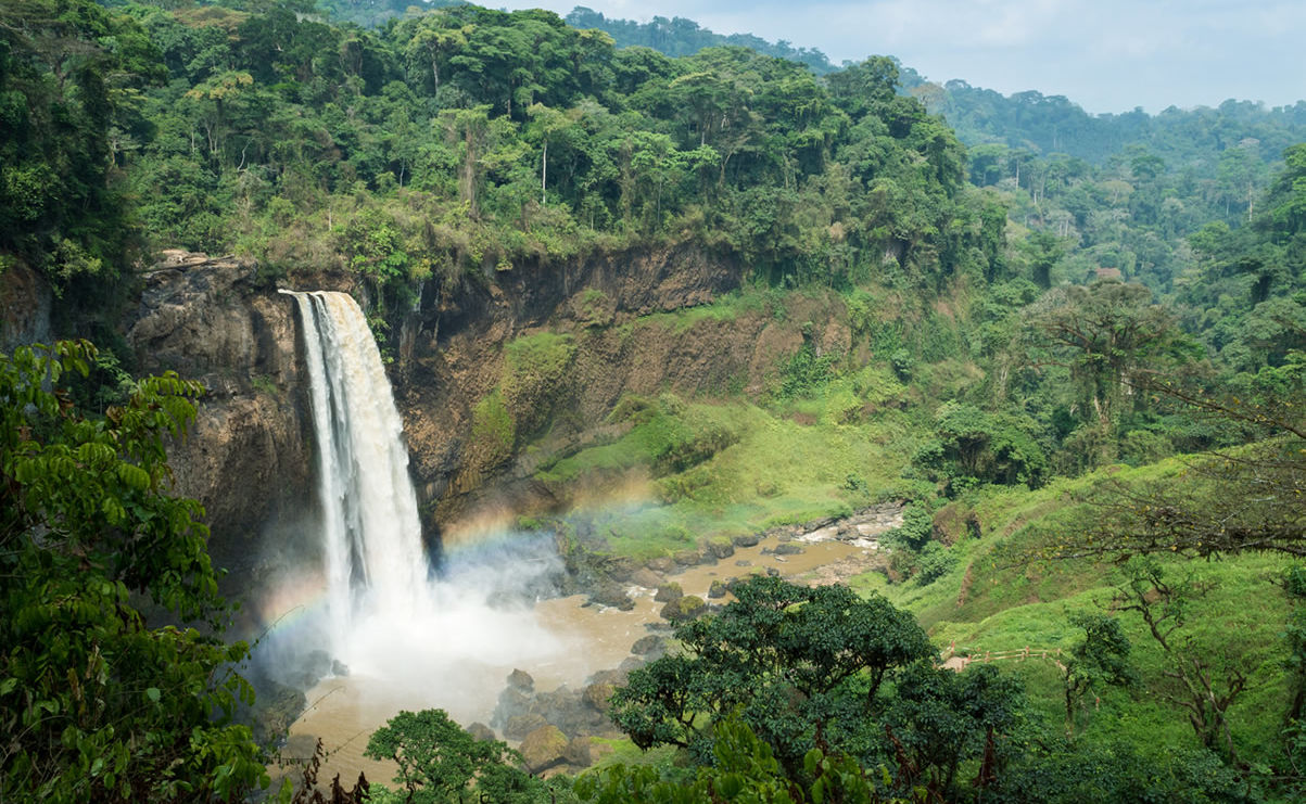 Ekom-Nkam-Wasserfälle in Kamerun