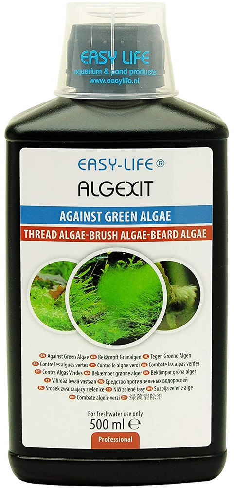 Easy-Life AlgExit