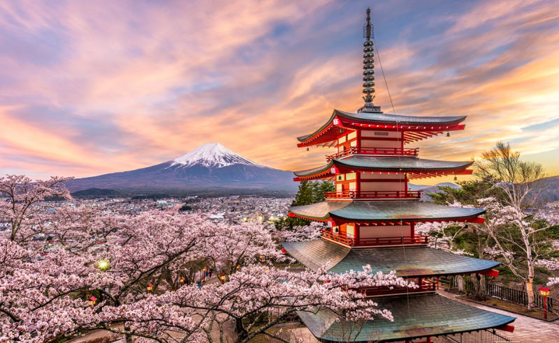 Chureito-Pagode in Fujiyoshida am Berg Fuji zur Kirschblüte