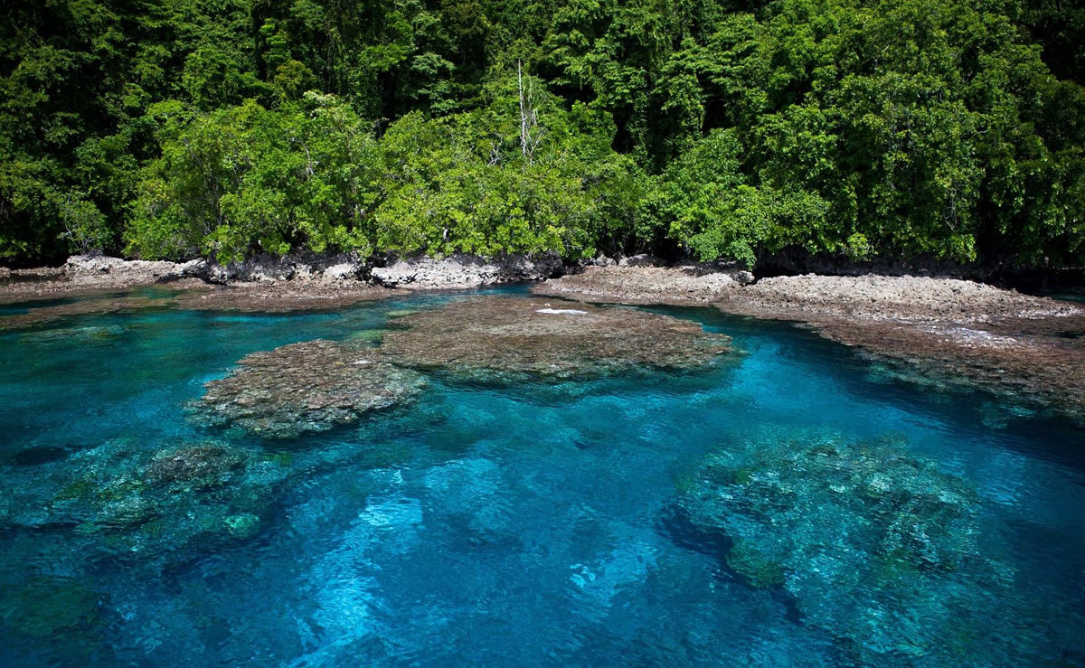Korallenriff am Rand einer tropischen Insel auf den Salomonen