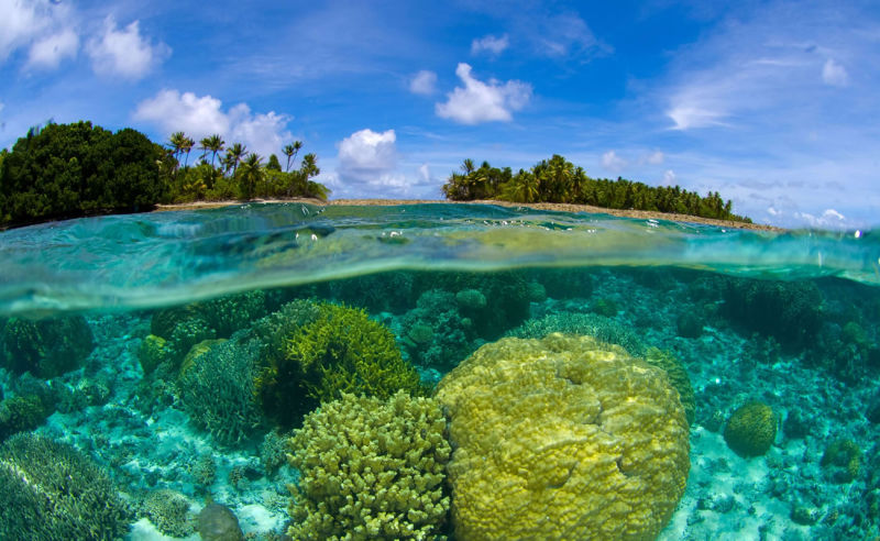 Korallenriff auf den Marschallinseln