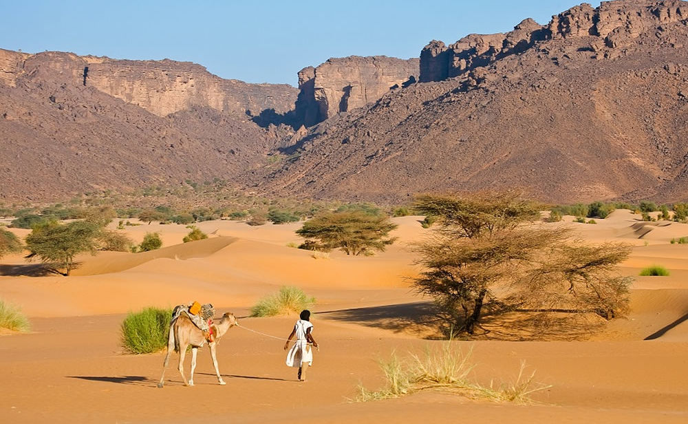 Beduine mit Kamel in der Wüste von Mauretanien
